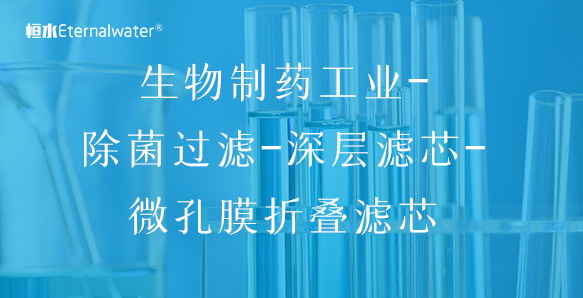 生物制藥工業(yè)-除菌過濾-深層濾芯-微孔膜折疊濾芯