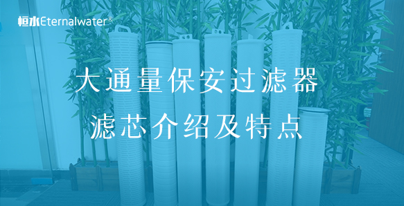 大通量保安過濾器濾芯介紹及特點