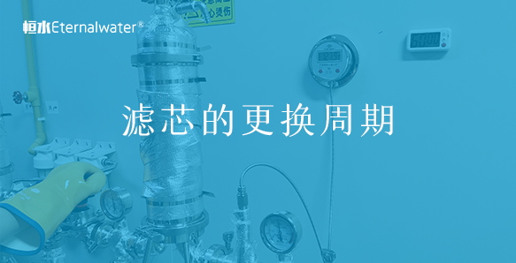 濾芯的更換周期