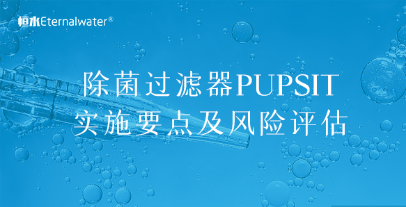 除菌過濾器PUPSIT實(shí)施要點(diǎn)及風(fēng)險(xiǎn)評(píng)估