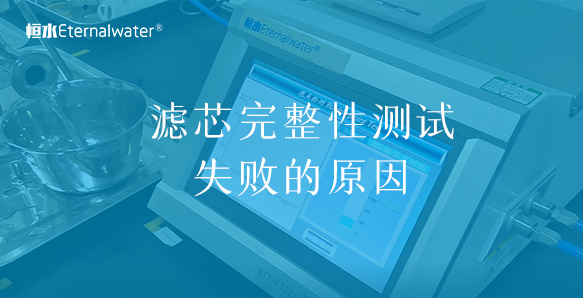 濾芯完整性測(cè)試失敗的原因